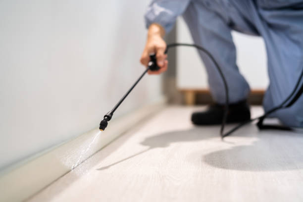 Certified termite inspector examining foundation in Arcadia