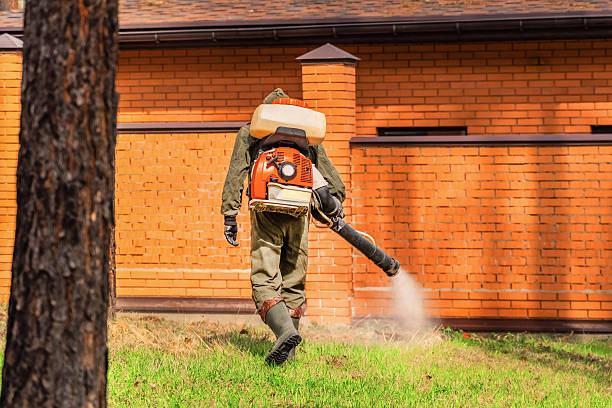 Bed Bug Clearance Verification and Documentation in Arcadia
